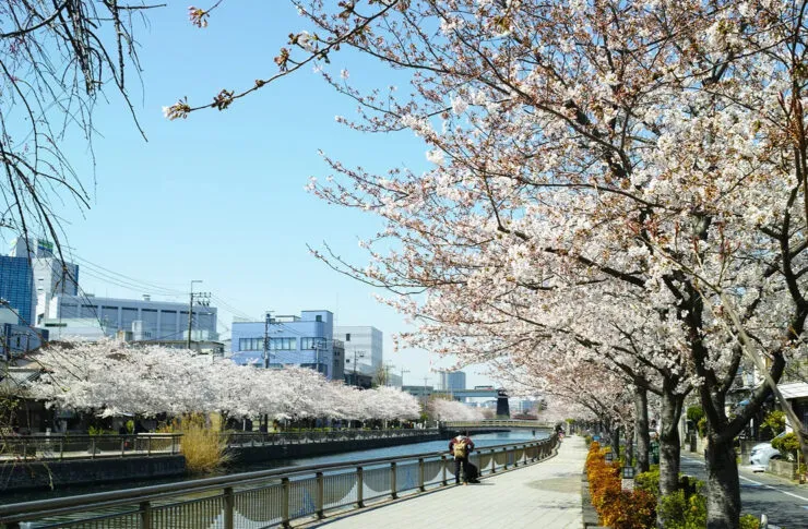 春のBBQ特集！渋谷でお花見BBQを楽しむコツ
