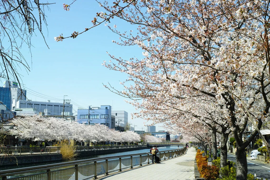 渋谷 花見 お花見 BBQ バーベキュー 桜 手ぶら 屋内 屋上 貸切 大人数